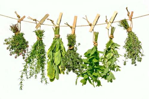 herbs-sperm