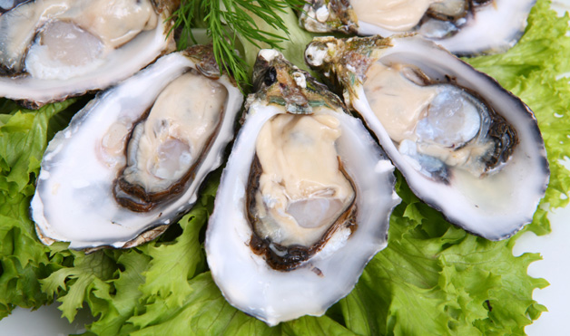 oysters-on-lettuce