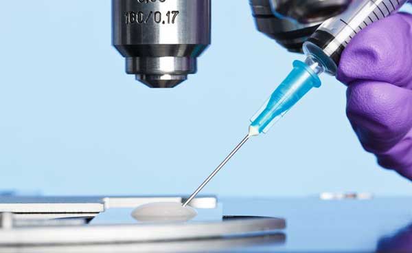 semen-microscope